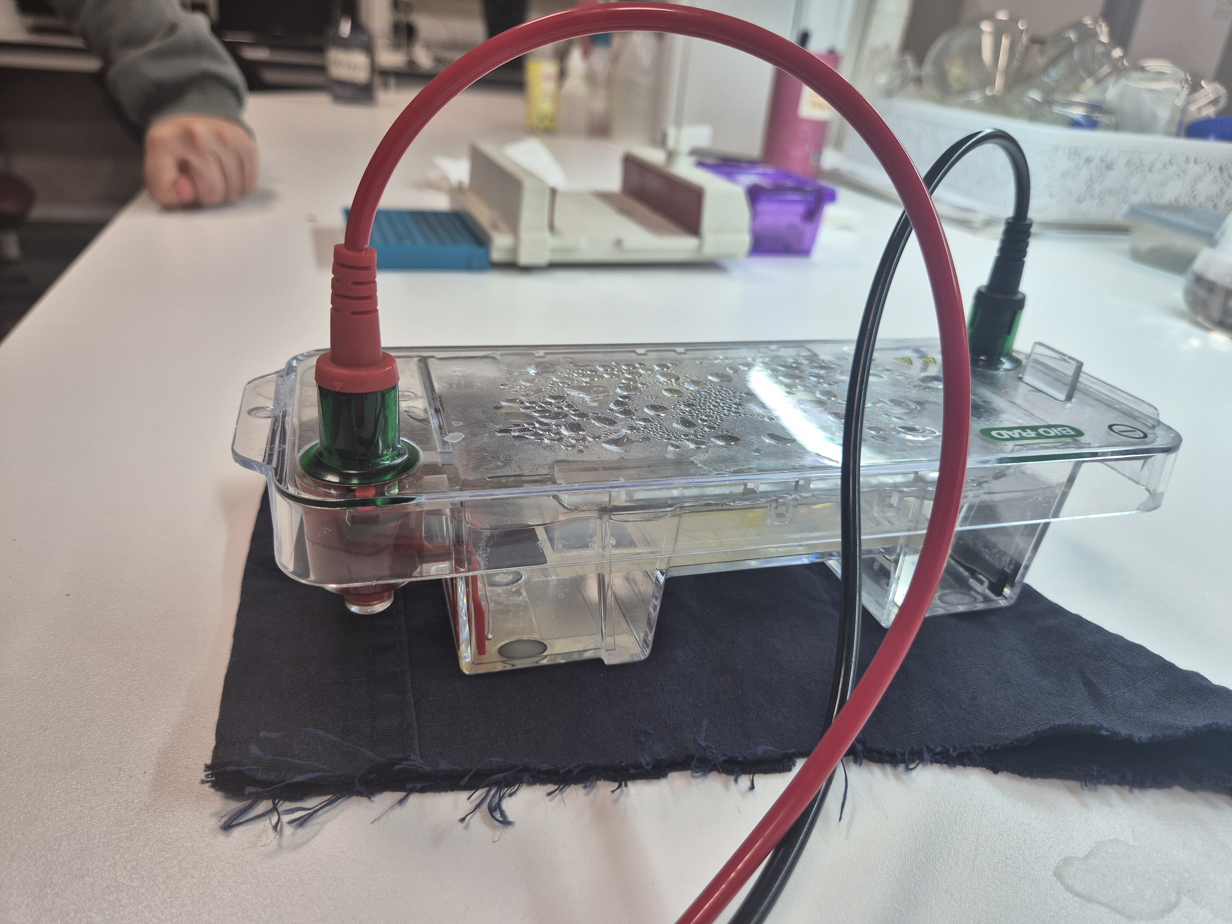 Yatay Elektroforez Sistemi-Fotoğraf